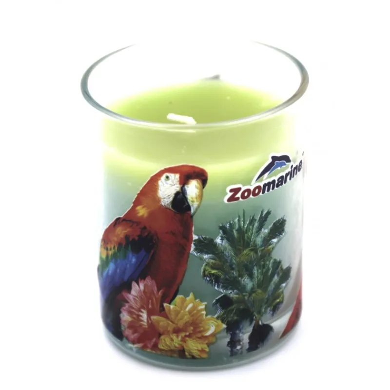 Velas*Zoomarine Vela